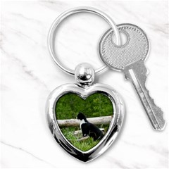 Farm Cat Key Chains (heart)  by IIPhotographyAndDesigns