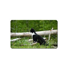 Farm Cat Magnet (name Card) by IIPhotographyAndDesigns