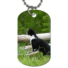 Farm Cat Dog Tag (two Sides) by IIPhotographyAndDesigns