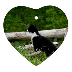 Farm Cat Heart Ornament (two Sides) by IIPhotographyAndDesigns