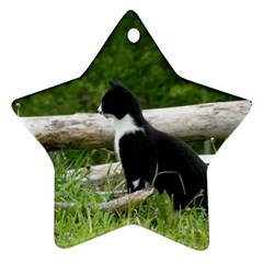 Farm Cat Star Ornament (two Sides)