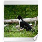 Farm Cat Canvas 8  x 10  8.15 x9.66  Canvas - 1