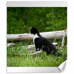 Farm Cat Canvas 20  X 24   by IIPhotographyAndDesigns