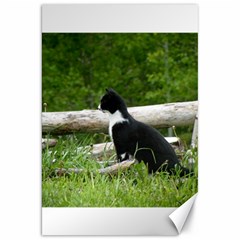 Farm Cat Canvas 20  X 30   by IIPhotographyAndDesigns