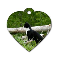 Farm Cat Dog Tag Heart (two Sides) by IIPhotographyAndDesigns