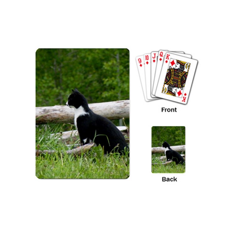 Farm Cat Playing Cards (Mini) 