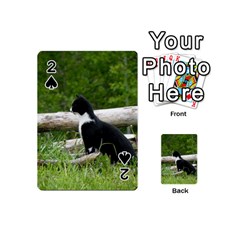 Farm Cat Playing Cards 54 (mini)  by IIPhotographyAndDesigns