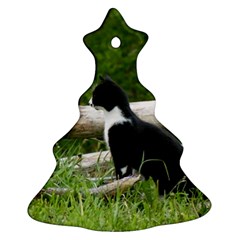 Farm Cat Christmas Tree Ornament (two Sides)