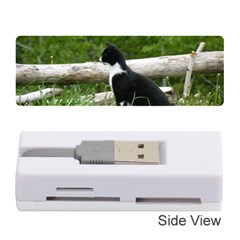 Farm Cat Memory Card Reader (stick) by IIPhotographyAndDesigns