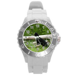 Farm Cat Round Plastic Sport Watch (l)