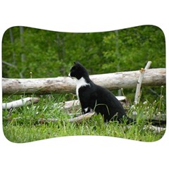 Farm Cat Velour Seat Head Rest Cushion by IIPhotographyAndDesigns