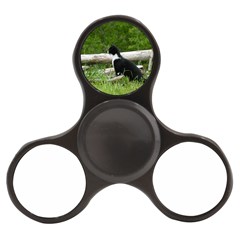 Farm Cat Finger Spinner by IIPhotographyAndDesigns