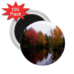 Autumn Pond 2 25  Magnets (100 Pack)  by IIPhotographyAndDesigns