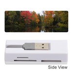 Autumn Pond Memory Card Reader (Stick) Front