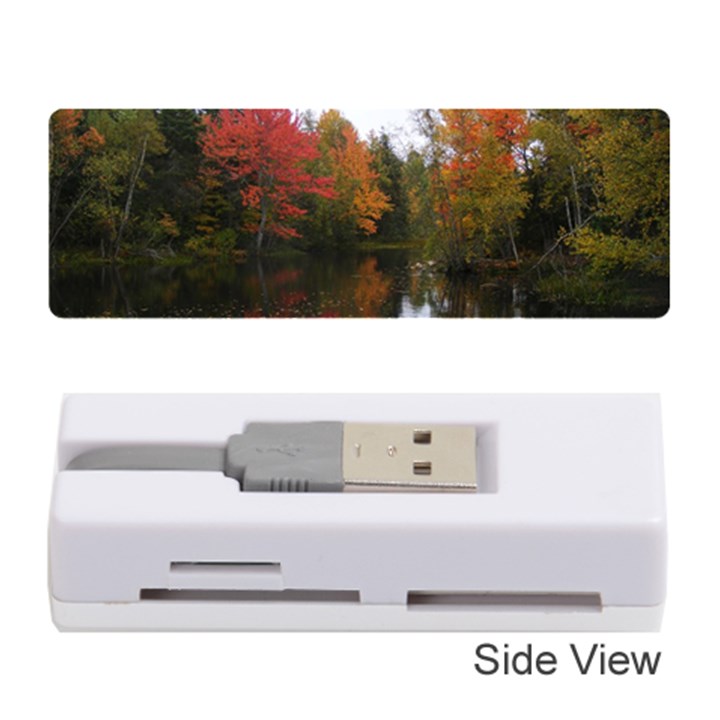 Autumn Pond Memory Card Reader (Stick)