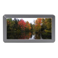 Autumn Pond Memory Card Reader (mini)