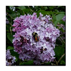 Lilac Bumble Bee Tile Coasters by IIPhotographyAndDesigns