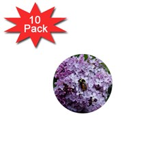 Lilac Bumble Bee 1  Mini Magnet (10 Pack)  by IIPhotographyAndDesigns