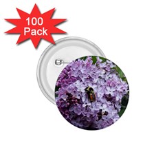 Lilac Bumble Bee 1 75  Buttons (100 Pack)  by IIPhotographyAndDesigns