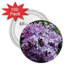 Lilac Bumble Bee 2 25  Buttons (100 Pack)  by IIPhotographyAndDesigns