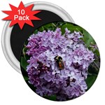 Lilac Bumble Bee 3  Magnets (10 pack)  Front