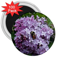 Lilac Bumble Bee 3  Magnets (100 Pack) by IIPhotographyAndDesigns