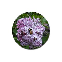 Lilac Bumble Bee Magnet 3  (round) by IIPhotographyAndDesigns