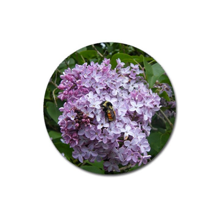 Lilac Bumble Bee Magnet 3  (Round)