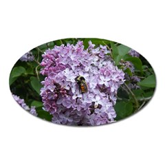 Lilac Bumble Bee Oval Magnet by IIPhotographyAndDesigns