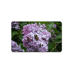 Lilac Bumble Bee Magnet (name Card) by IIPhotographyAndDesigns