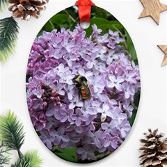 Lilac Bumble Bee Oval Ornament (two Sides) by IIPhotographyAndDesigns