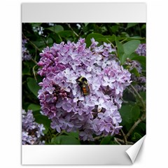 Lilac Bumble Bee Canvas 12  X 16   by IIPhotographyAndDesigns