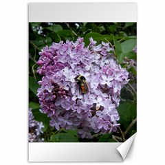 Lilac Bumble Bee Canvas 12  X 18   by IIPhotographyAndDesigns