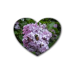 Lilac Bumble Bee Heart Coaster (4 Pack)  by IIPhotographyAndDesigns