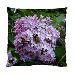 Lilac Bumble Bee Standard Cushion Case (two Sides) by IIPhotographyAndDesigns