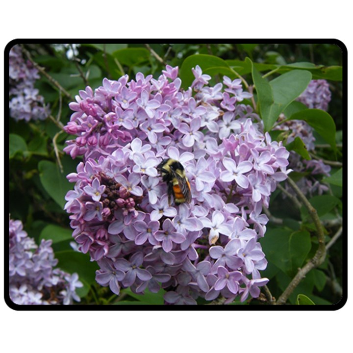 Lilac Bumble Bee Fleece Blanket (Medium) 