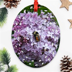 Lilac Bumble Bee Oval Filigree Ornament (two Sides)