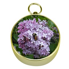 Lilac Bumble Bee Gold Compasses