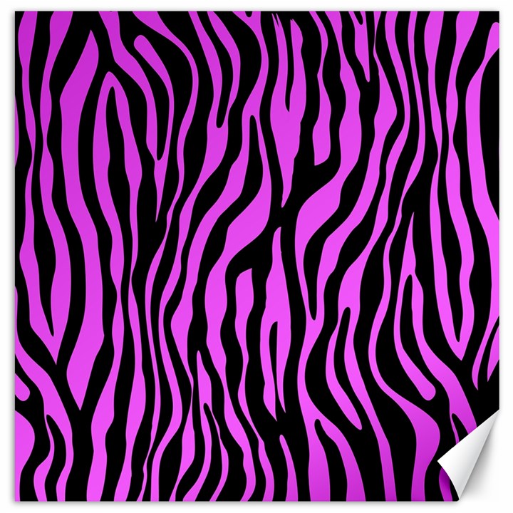 Zebra Stripes Pattern Trend Colors Black Pink Canvas 20  x 20  