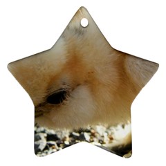 Silkie Chick  Ornament (star)