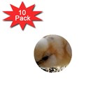 Silkie Chick  1  Mini Buttons (10 pack)  Front