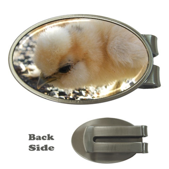 Silkie Chick  Money Clips (Oval) 