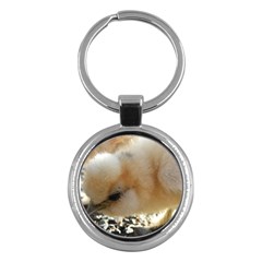 Silkie Chick  Key Chains (round)  by IIPhotographyAndDesigns