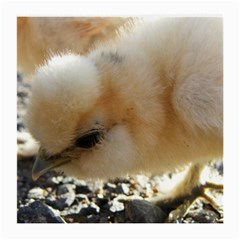 Silkie Chick  Medium Glasses Cloth (2-side)