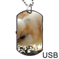 Silkie Chick  Dog Tag Usb Flash (one Side)