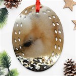 Silkie Chick  Ornament (Oval Filigree) Front