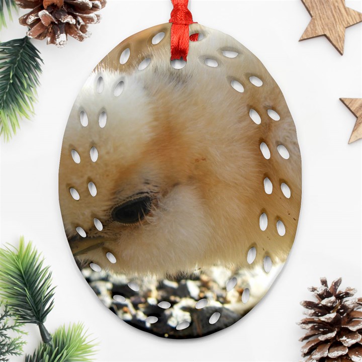 Silkie Chick  Ornament (Oval Filigree)