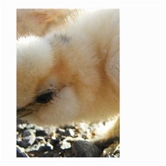 Silkie Chick  Small Garden Flag (two Sides)