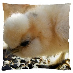 Silkie Chick  Large Cushion Case (two Sides)