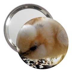 Silkie Chick  3  Handbag Mirrors